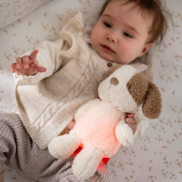 Hippychick – wholesale Night light – Child & baby – Nattou Mini Cuddly Dog Nightlight Teddy Vanilla1