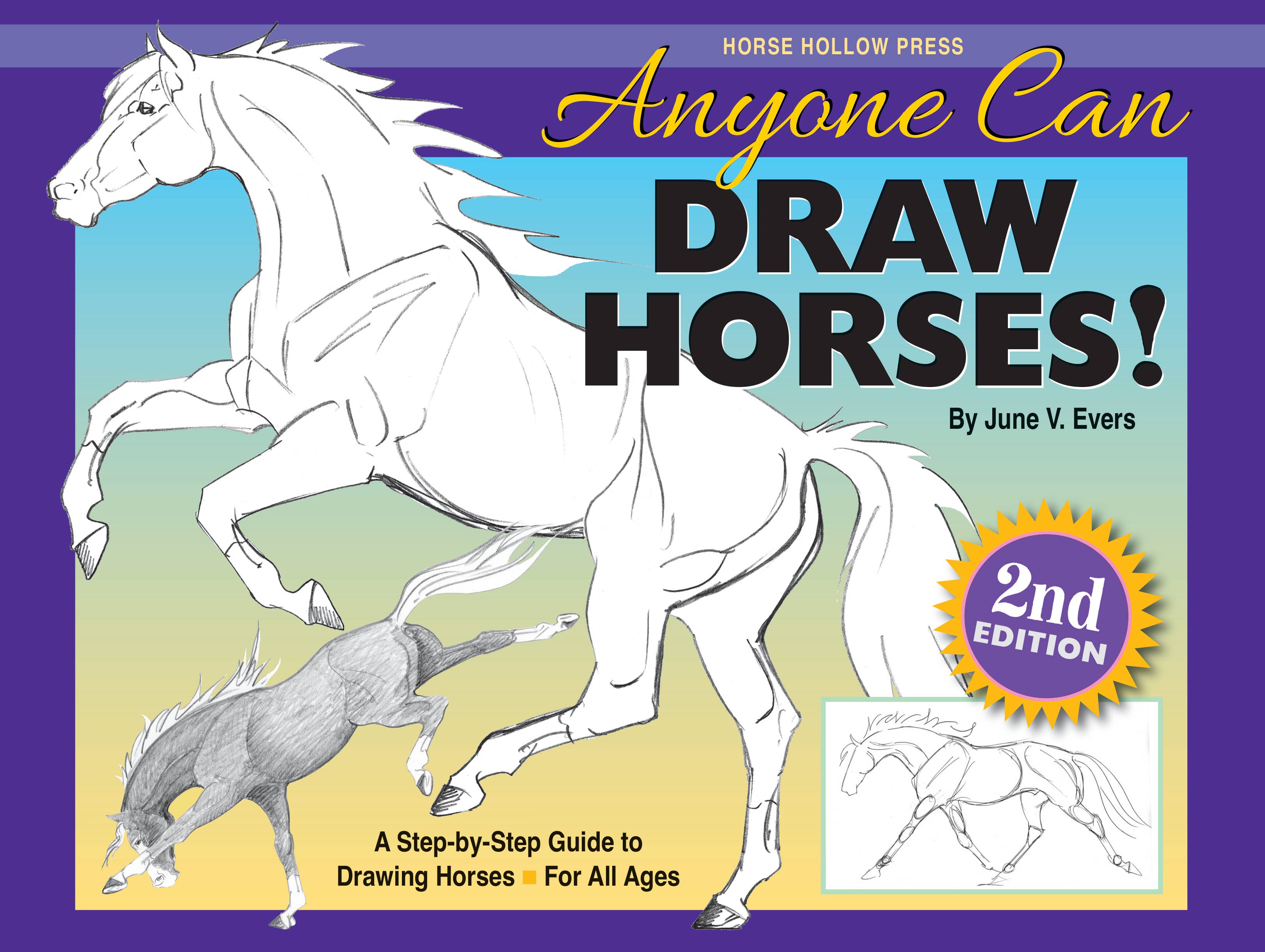 Horse Hollow Press / Pretty, Funny, Snarky Cards & Stickers - Wholesale Coloring & Activity Book - Adult - Art Book Horse Equestrian / Anyone Can Draw Horses / All Age18