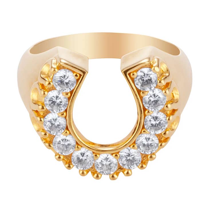 Herradura de la suerte - Acero y CZ oro de 14 quilates para venta al por mayor de HoopLa