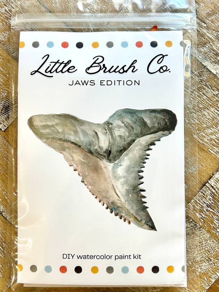 DIY Watercolor Paint Kit - Shark Teeth, Jaws Edition for wholesale by Coast and Cork
