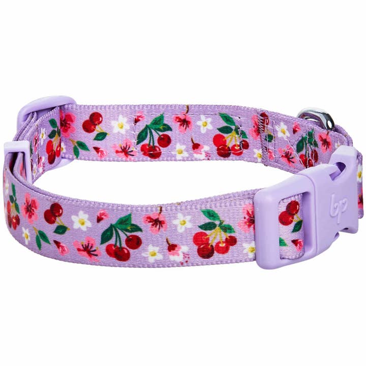 Blueberry Pet - Wholesale Pet Collar - Dog - Summer Floral Dog Collar in Pastel Colors for Girl Dogs19