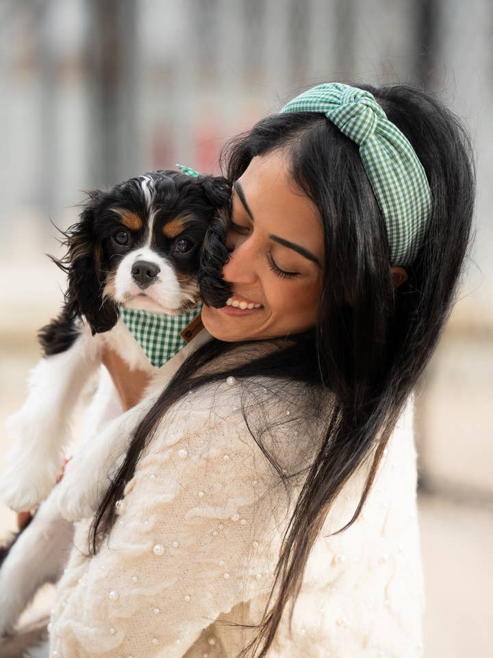 Matching Pet and Owner: Headband and Bandana- Green Gingham  for wholesale by Pawsbury Lane