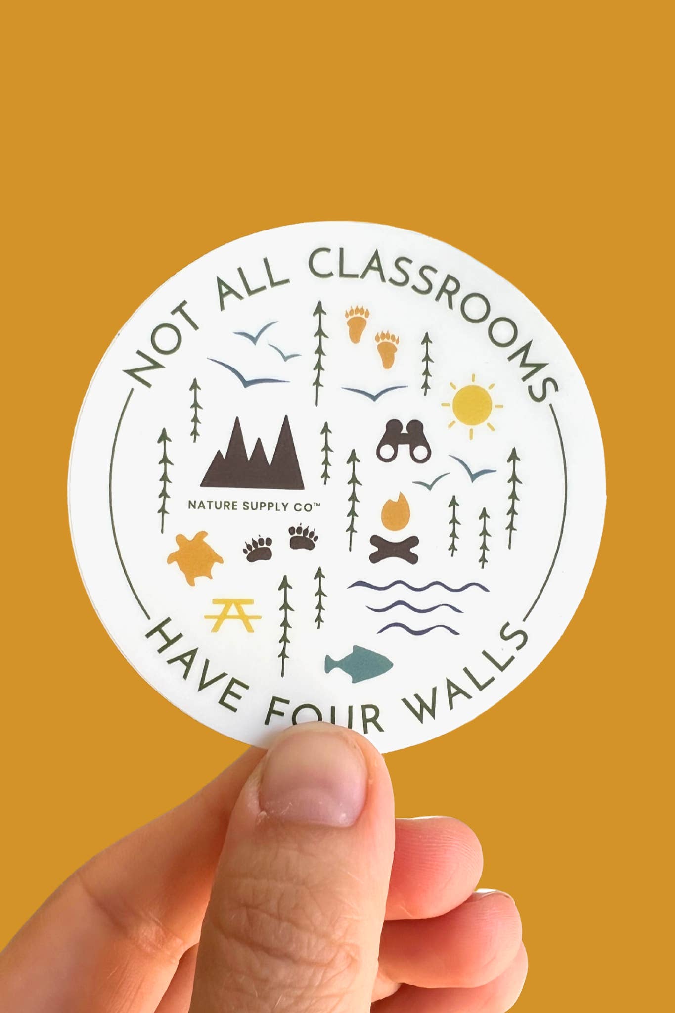 Nature Supply Co - Wholesale Sticker - Not All Classrooms Sticker – Outdoor Adventure Gift