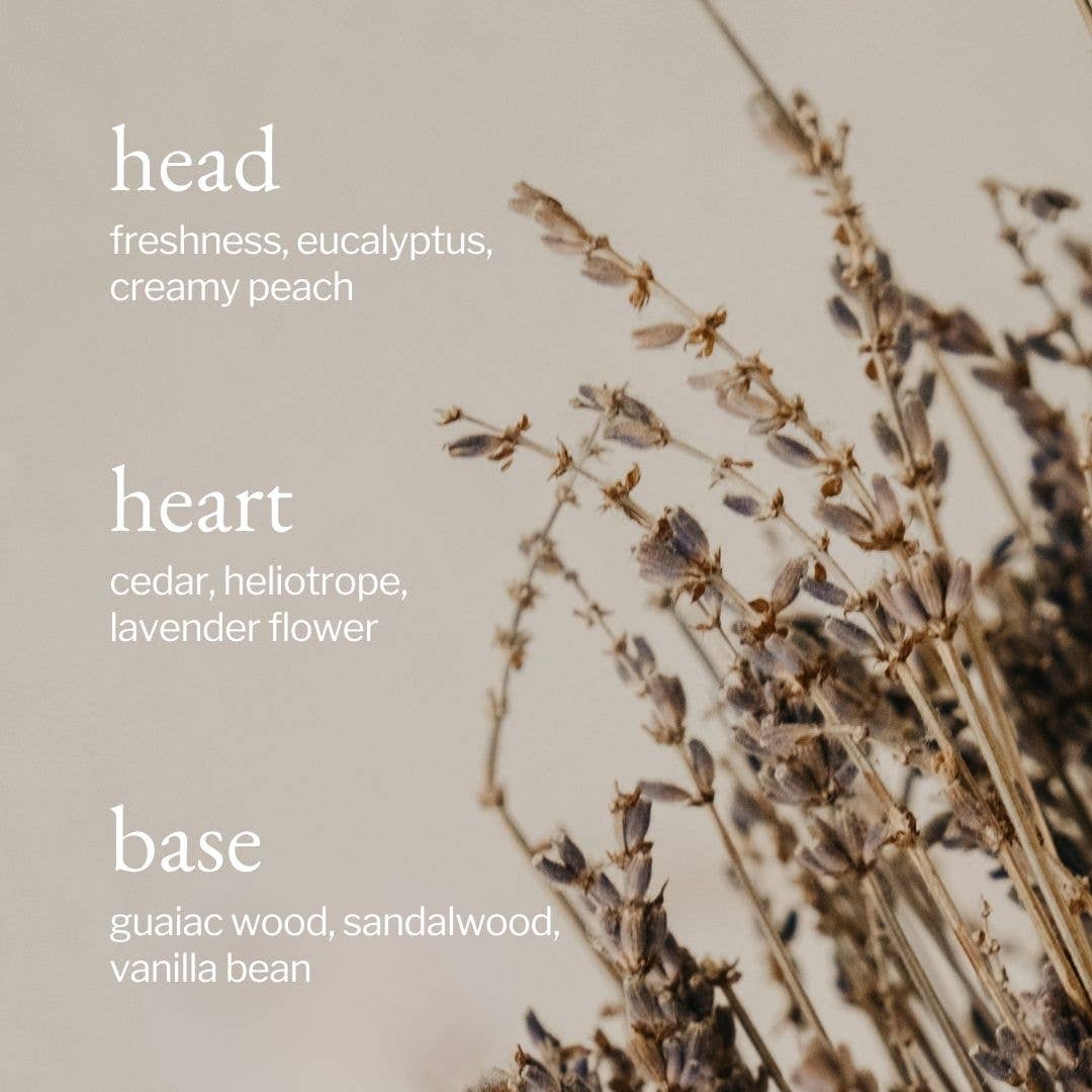 SOJA&CO.® - Wholesale Hand Soap/Wash - Liquid Hand Soap | Lavender, Sandalwood & Vanilla4