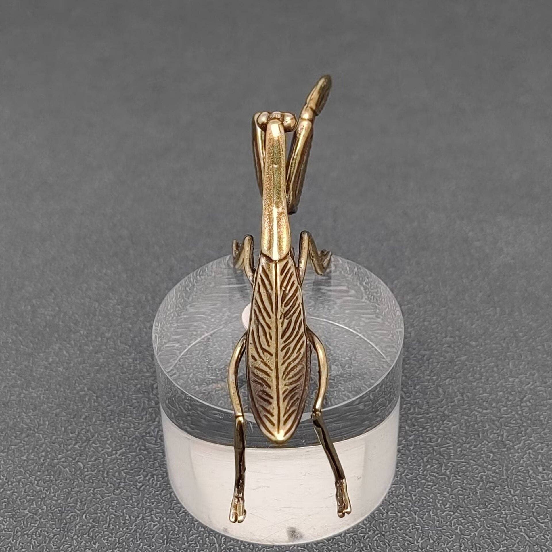 Mio Queena - Vente Décorations de table - Ornements de bureau en laiton Mante religieuse6