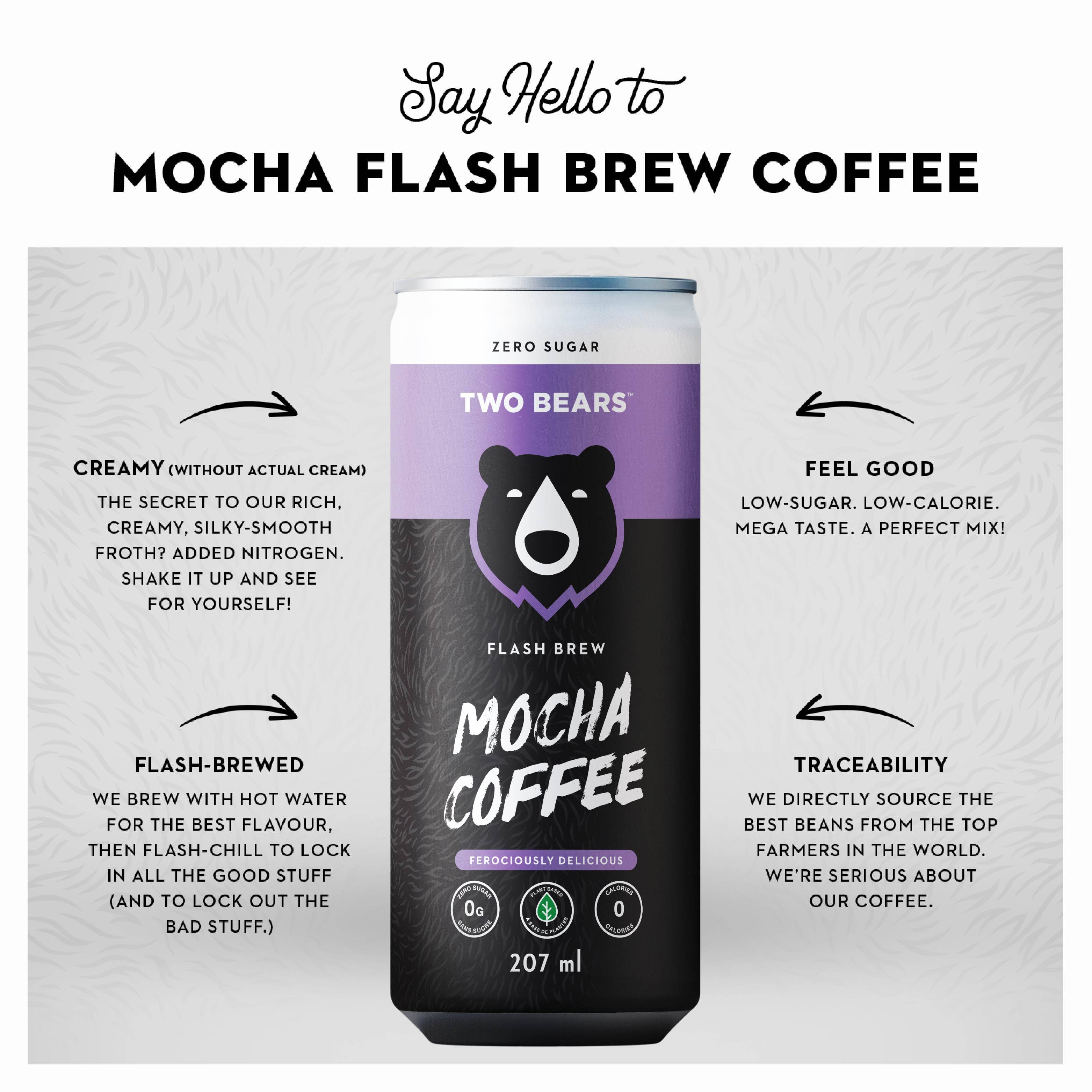 Two Bears - Venta al por mayor Café helado/infusiones frías - Café Flash Brew de Moca (207 ml)1
