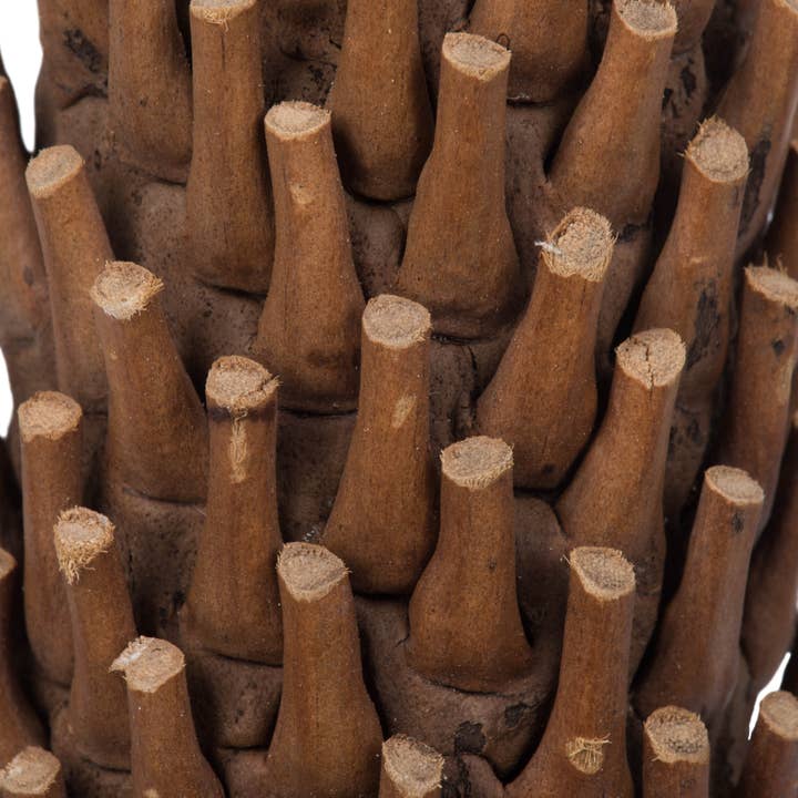 Vickerman 14-24" Natural Caba Spindle 3Pk for wholesale on Faire2