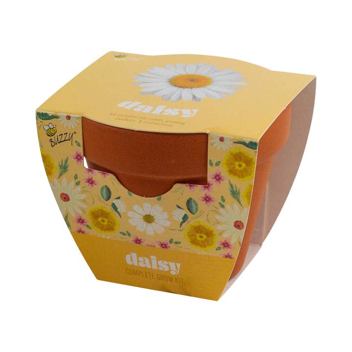 Buzzy, Inc. - Wholesale Plant Seeds - Buzzy Seeds Classic (7cm) Terra Cotta Grow Kit - Daisy
