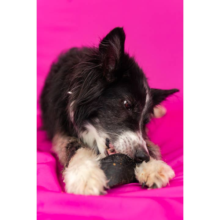 Jones Natural Chews - Wholesale Pet Treats - Dog - Peanut Butter Flavor Stuffed Hooves 1 Pack Shrink Wrap with Round Label