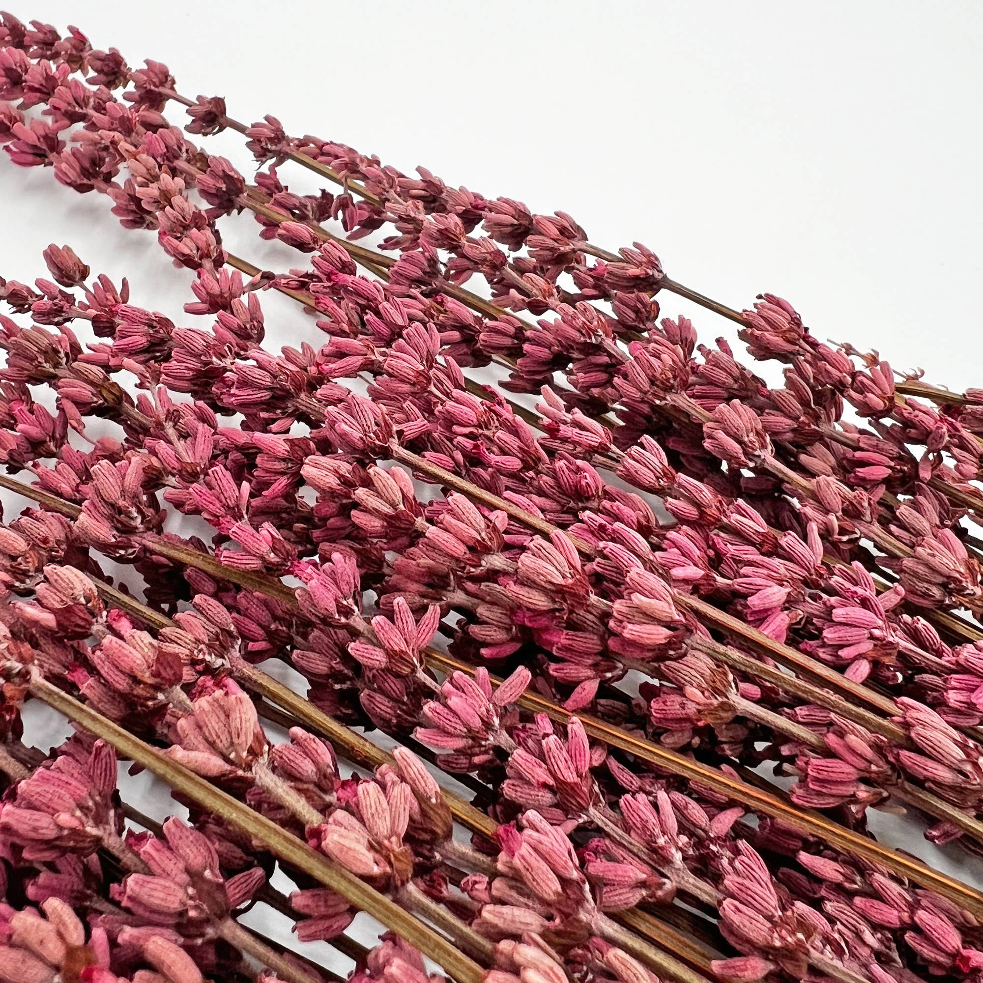 2626 Designs – Engroshandel Tørrede/pressede blomster – Tørrede konserverede lavendelbuketter, 53 cm, flere farver4