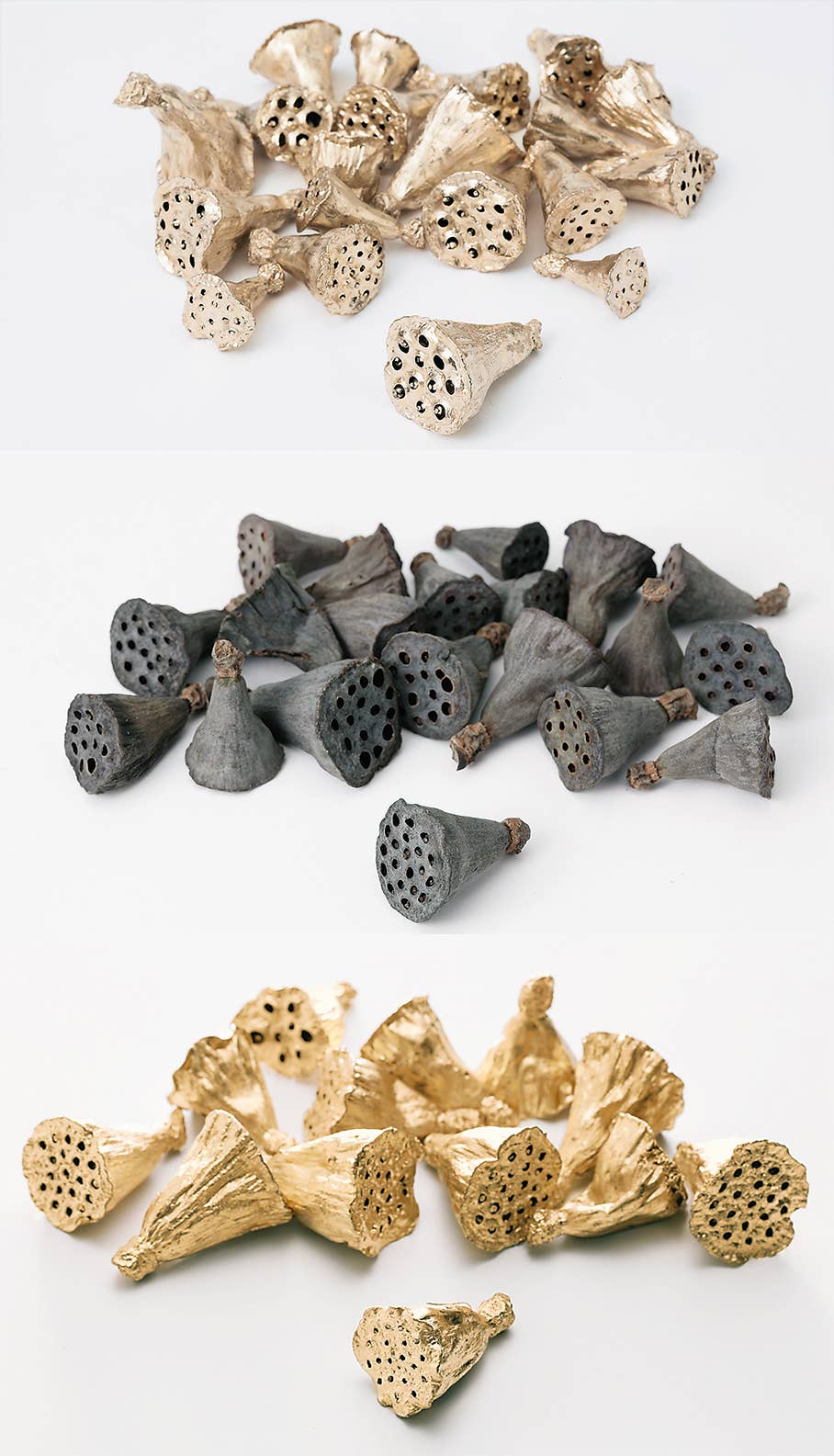 2626 Designs - Wholesale Dried/Pressed Flowers - Dried Preserved Mini Lotus 2cm |Realistic&Long-Lasting Decor3