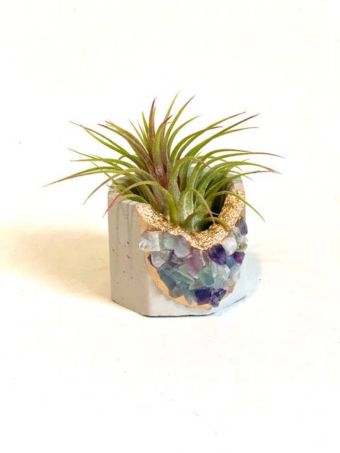 Plant One On Me Designs - Vente Pot - Jardinière en géode de cristal avec plante aérienne - Cristaux mixtes3