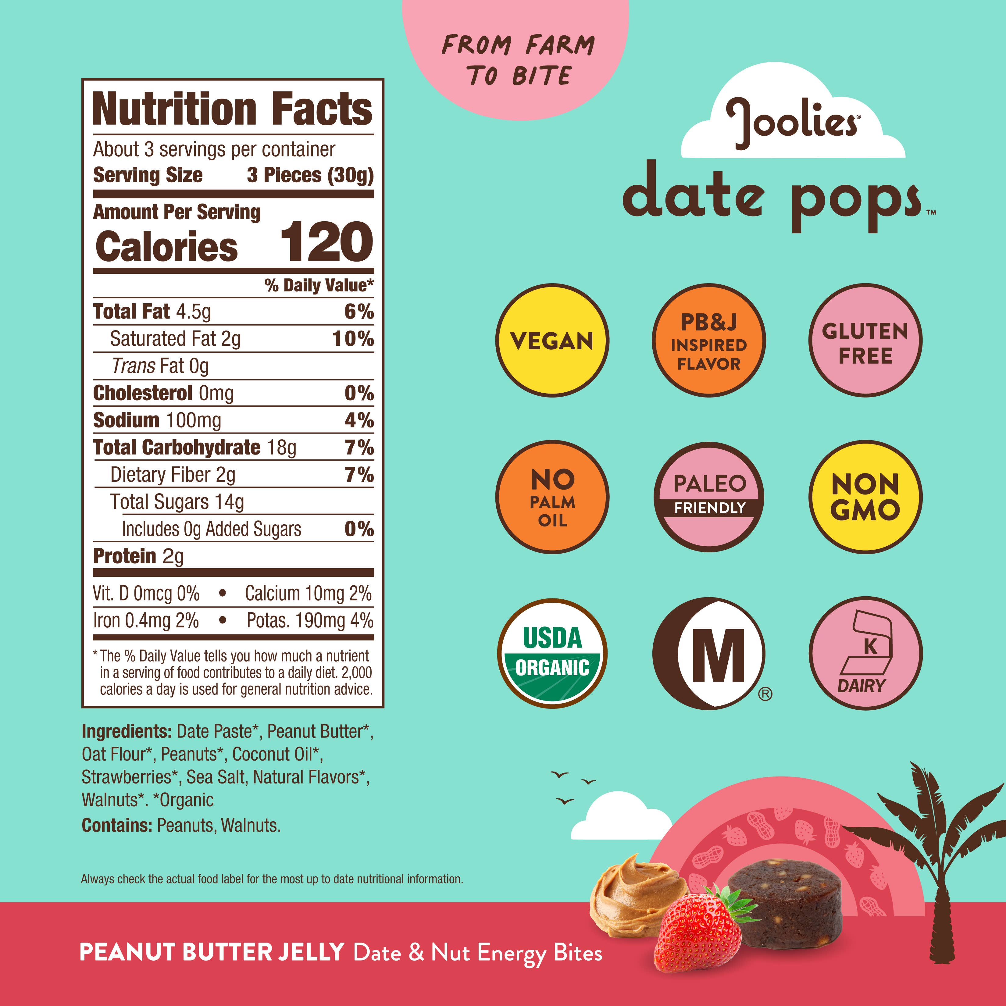 Joolies - Wholesale Snack Bar - Date Pops Peanut Butter Jelly 3.5 oz1