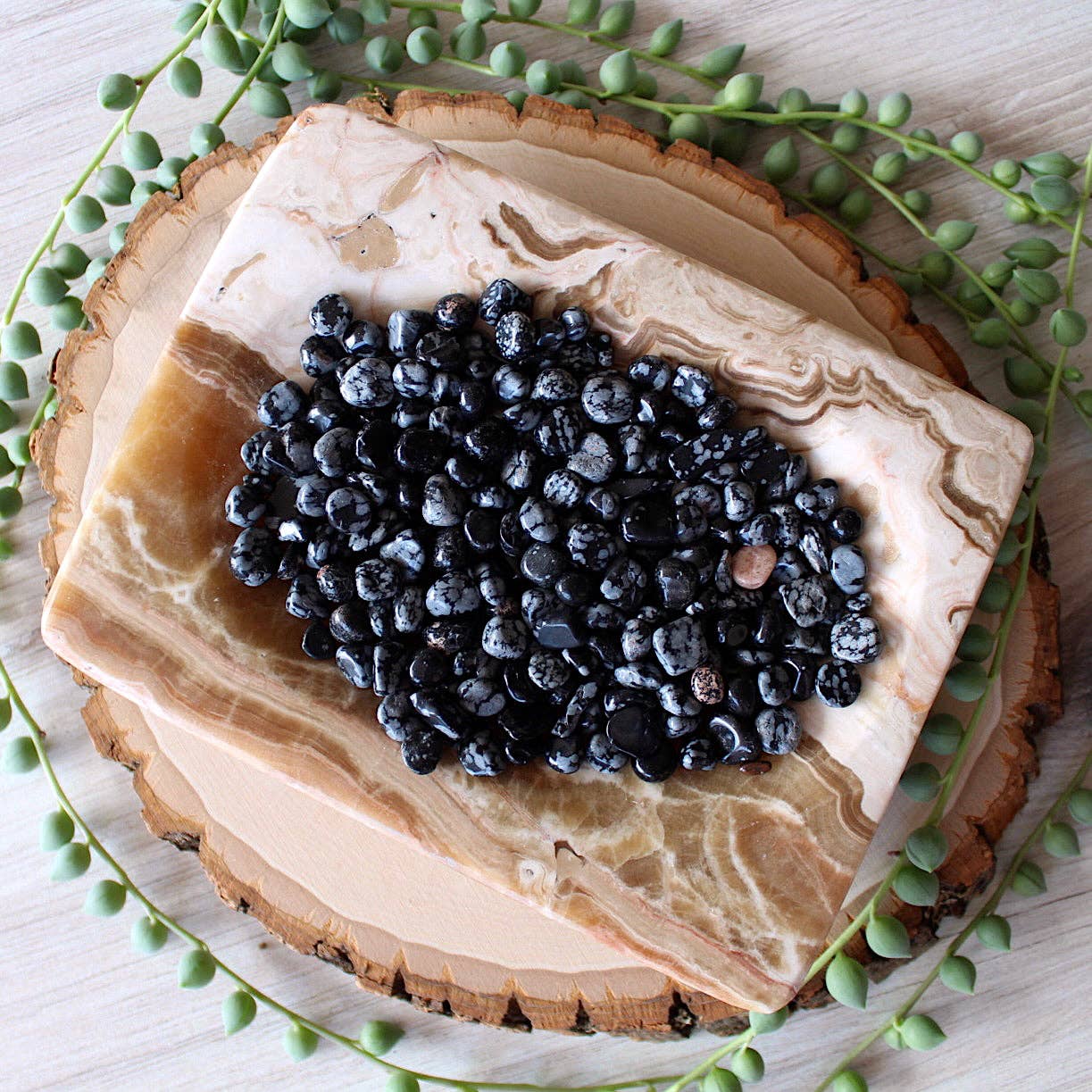 Pebble House - Vendita all'ingrosso Pietra/cristallo spirituale - Snowflake Obsidian Tumbled Chips (xs) Sacchetto da 4oz (Crystals & Stones)