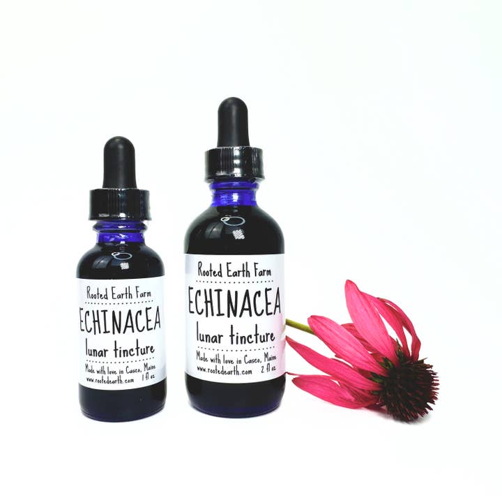 Rooted Earth Farm + Apothecary - Wholesale Tincture - Echinacea Tincture - 2 Size Options