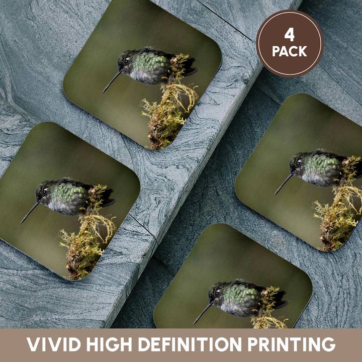 3dRose - Wholesale Coasters - 3dRose, Talamanca Hummingbird, Costa Rica, Central America, Coaster12