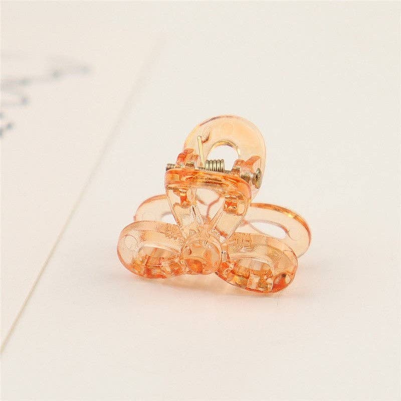 FurDecoration – wholesale Hair clip – Women’s – Small Transparent Colored Hair Claw Clip8