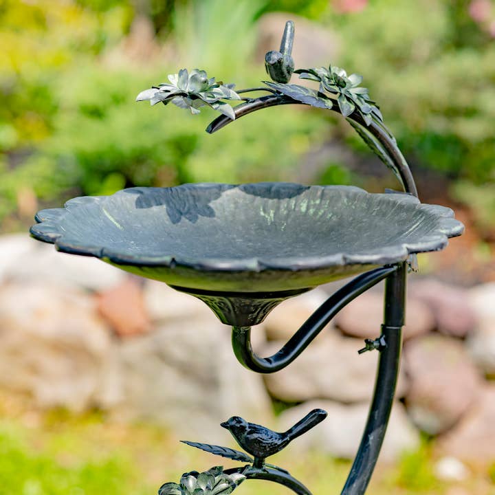 Zaer Ltd. International - Wholesale Bird Bath - Scallop Edge Birdbath with Branch Stand- 2 Color Options5