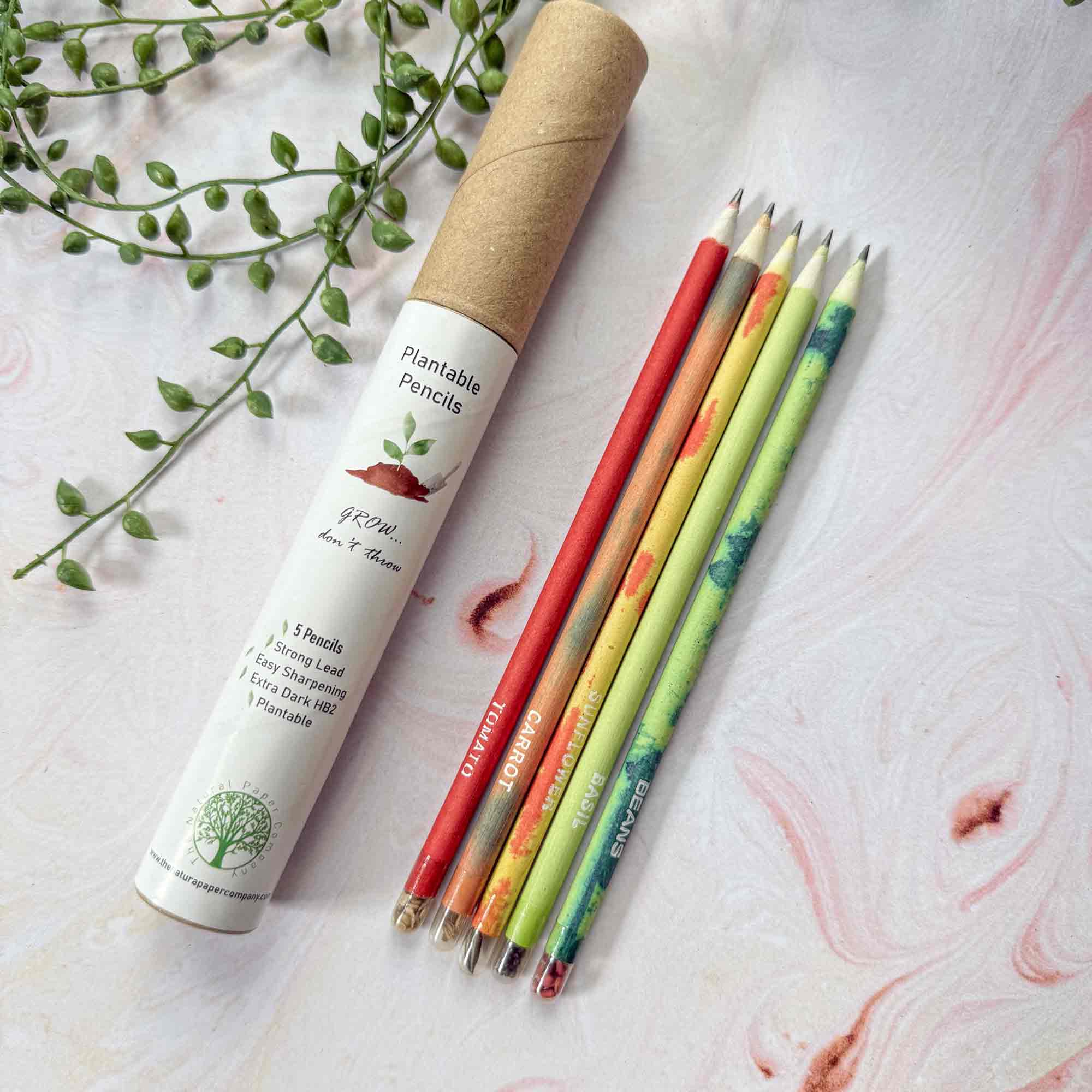 The Natural Paper Company – wholesale Pencil – Plantable Pencils - Set of 5 | Tube of Recycled Paper Pencil2