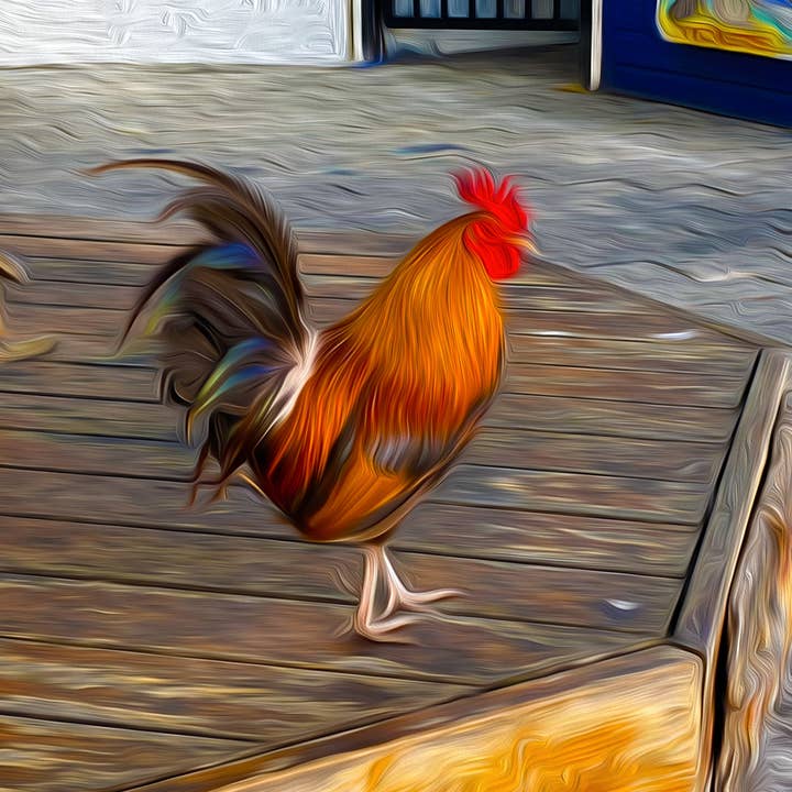 "High Life" for wholesale by Backyards of Key West