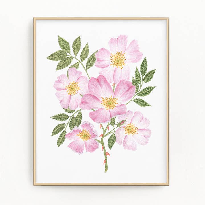 Stampa rose per la vendita all'ingrosso da parte di Emilie Taylor