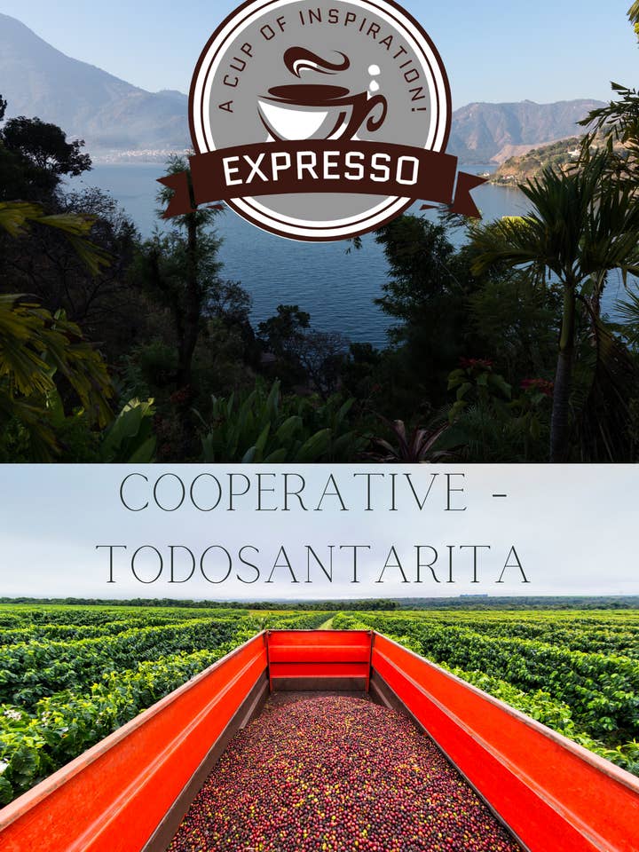 Cooperative Todosantarita for wholesale by Buy Expresso