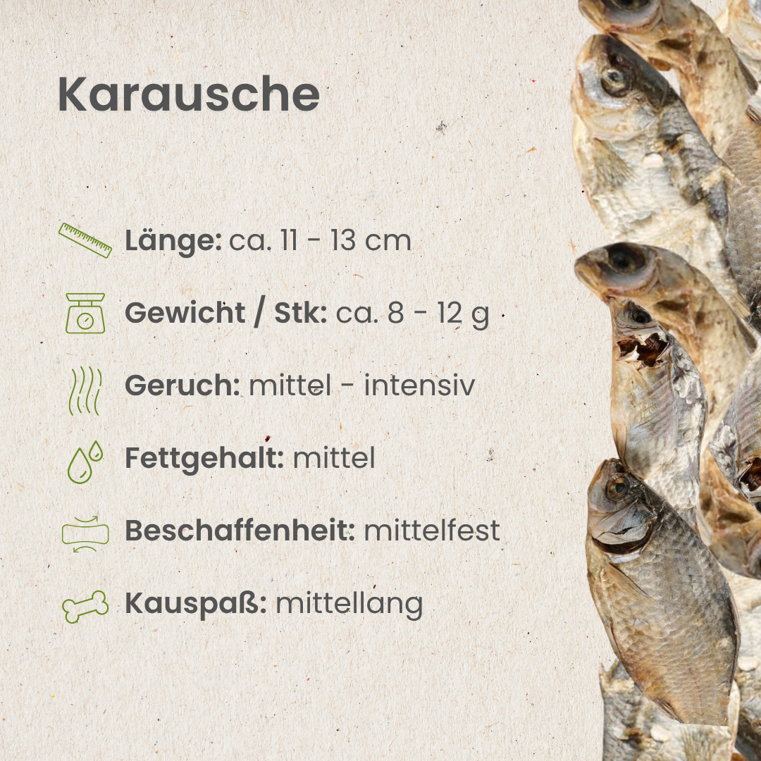 Kauartikel.com GmbH - Wholesale Pet Food - Dog - Crucian carp2