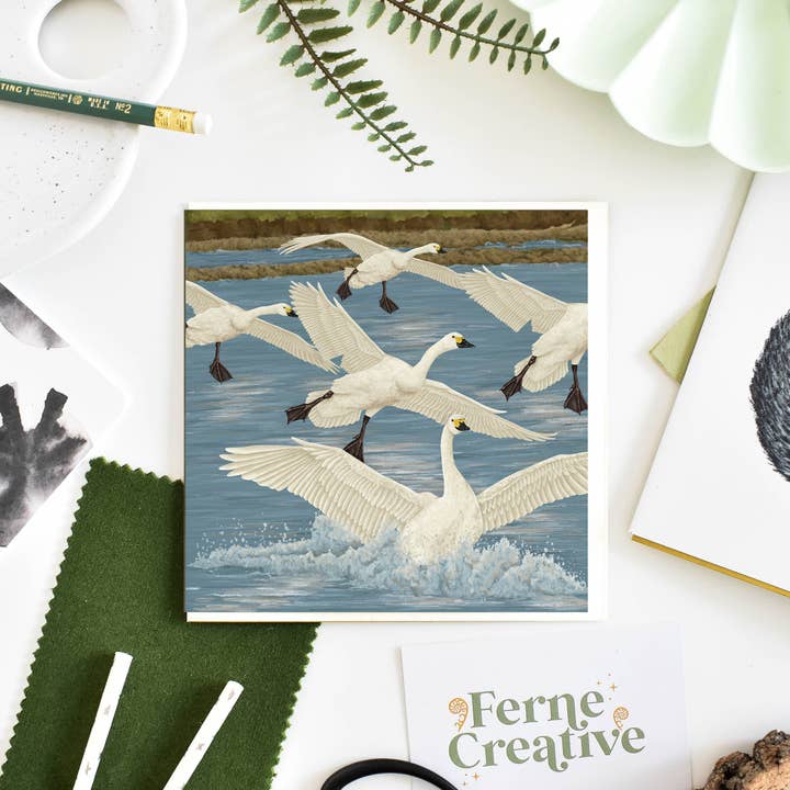 Ferne Creative - Wholesale Everyday Greeting Card - Bewick's Swan Greetings Card