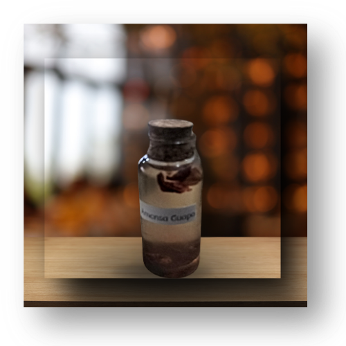 SaMi Candles – wholesale Meditation supplies – "Amansa Guapo" Ritual Oil1