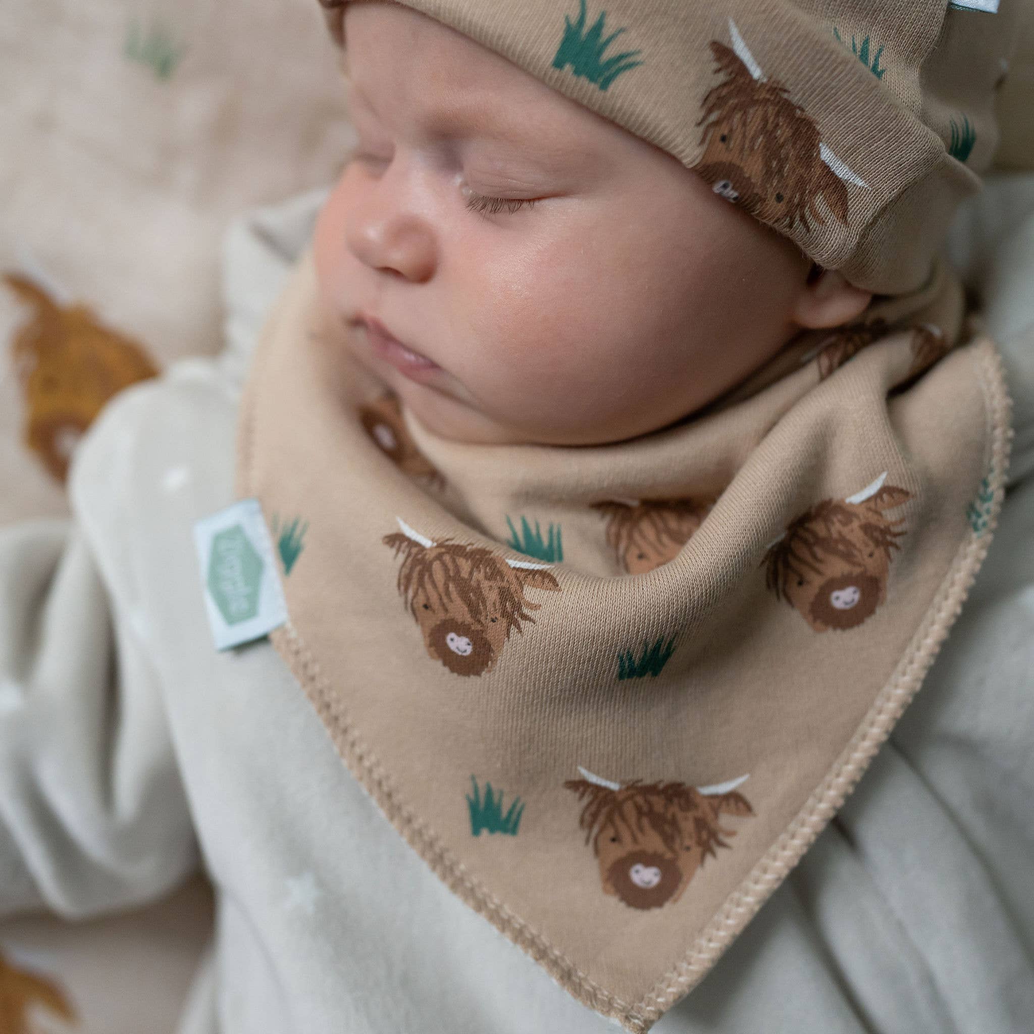 Ziggle Baby - Wholesale Bandana Bib - Highland Cow print bib7