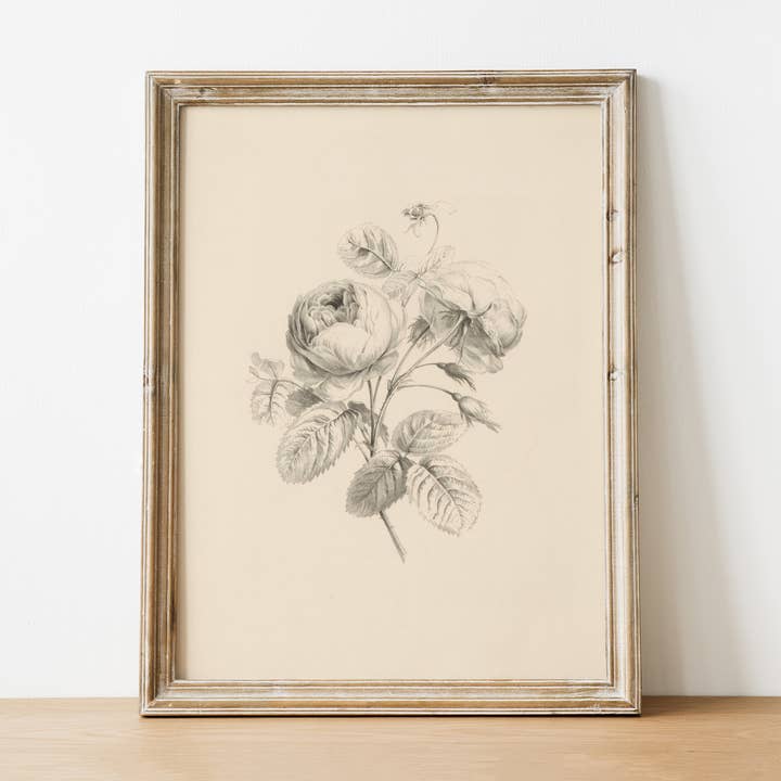 Floral Antique Vintage Art Print for wholesale by Pink Lemon Decor