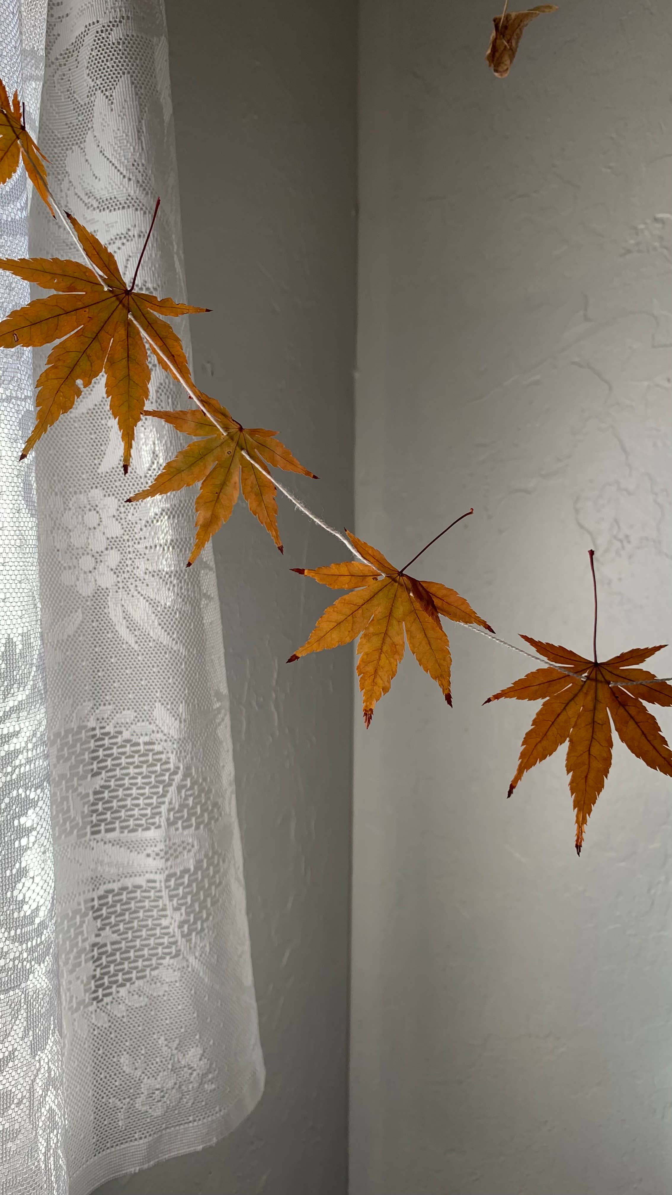 Twig and Snip - Wholesale Bunting/Garland - Dried Mini Japanese Maple Leaf Garland - Reds and Browns3