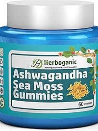 Ashwagandha Seamoss Gummibärchen für den Großhandel von Sea Moss Me Now