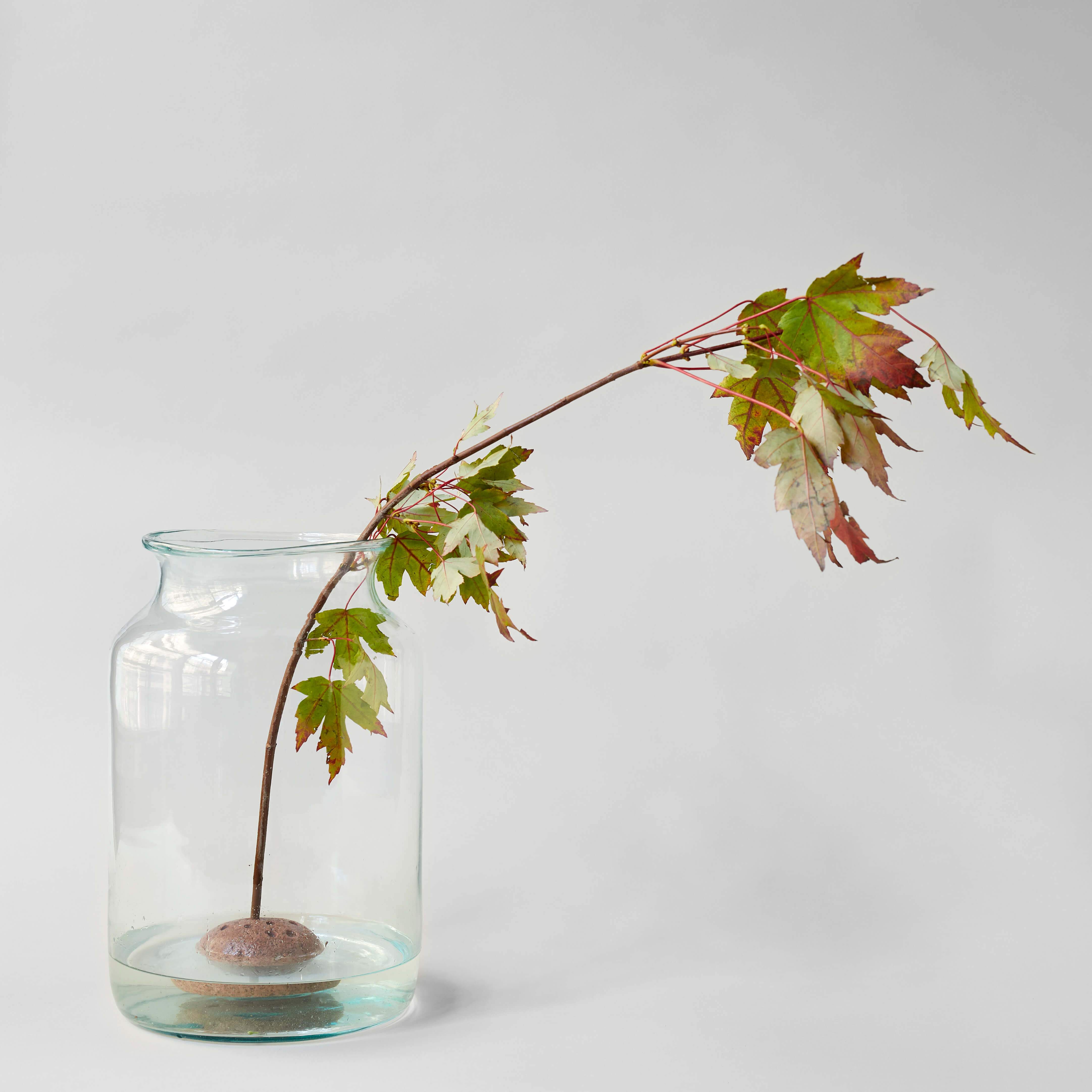 Bloomist – wholesale Decorative tabletop object – Round Stone Frog1