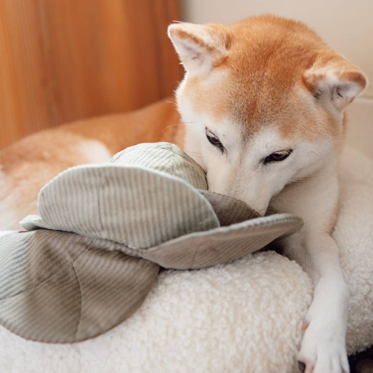 Lambwolf Collective - Wholesale Knuffelspeeltje - Hond - KOOLPOP//ENRICHMENT HONDENSPEELTJE1