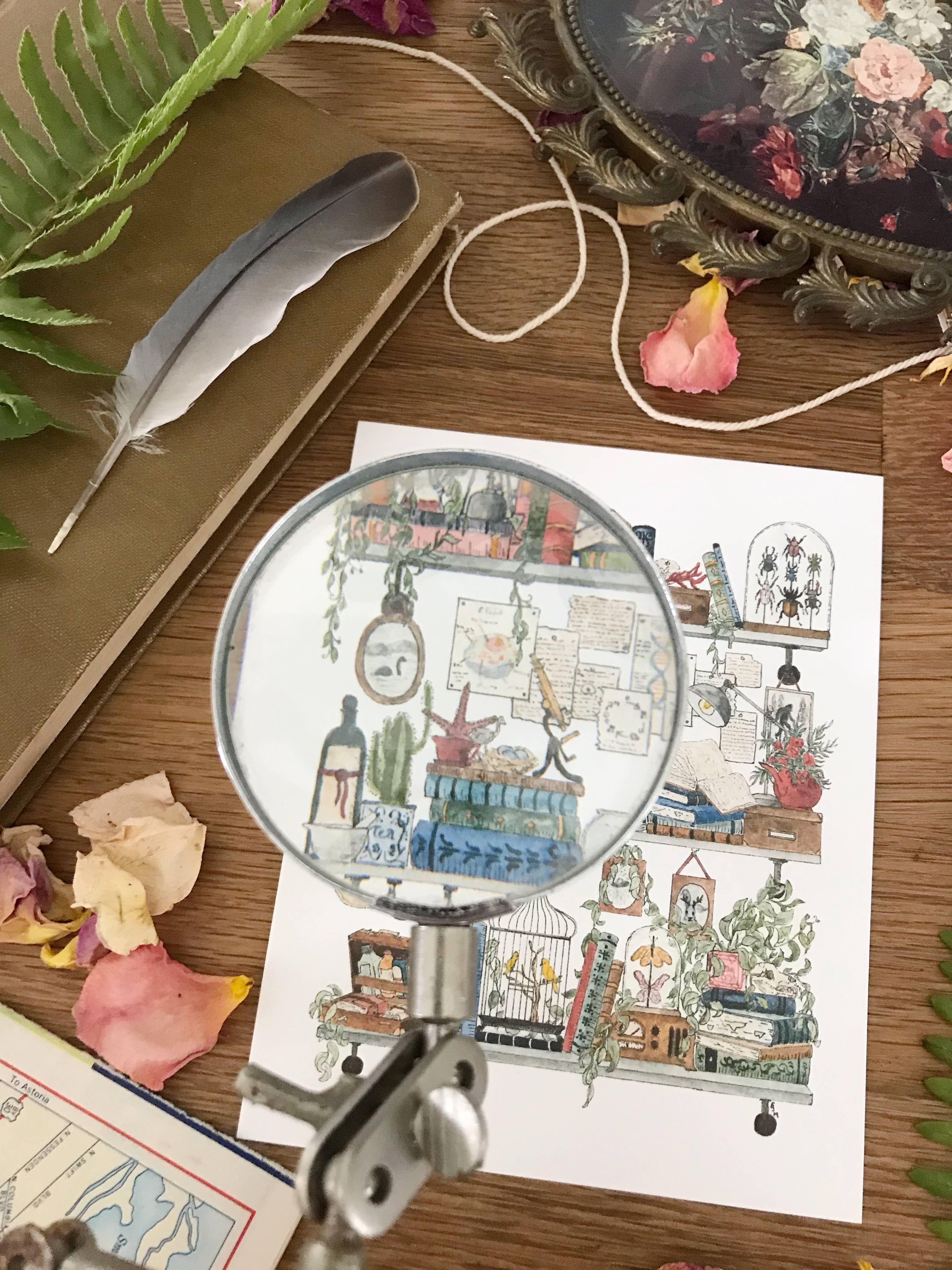 Lizzy Gass - Wholesale Postcard - The Biologist's Shelves Postcard7