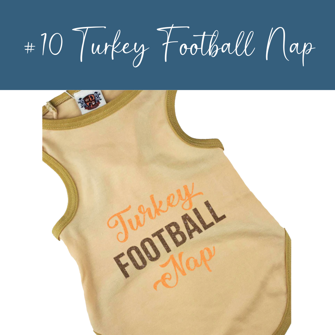 House of FurBaby - Wholesale Pet Costume - Cat/Dog - Pet Holiday Tee & Bandana Bundles-24 Pieces $204, $528 MSRP 12