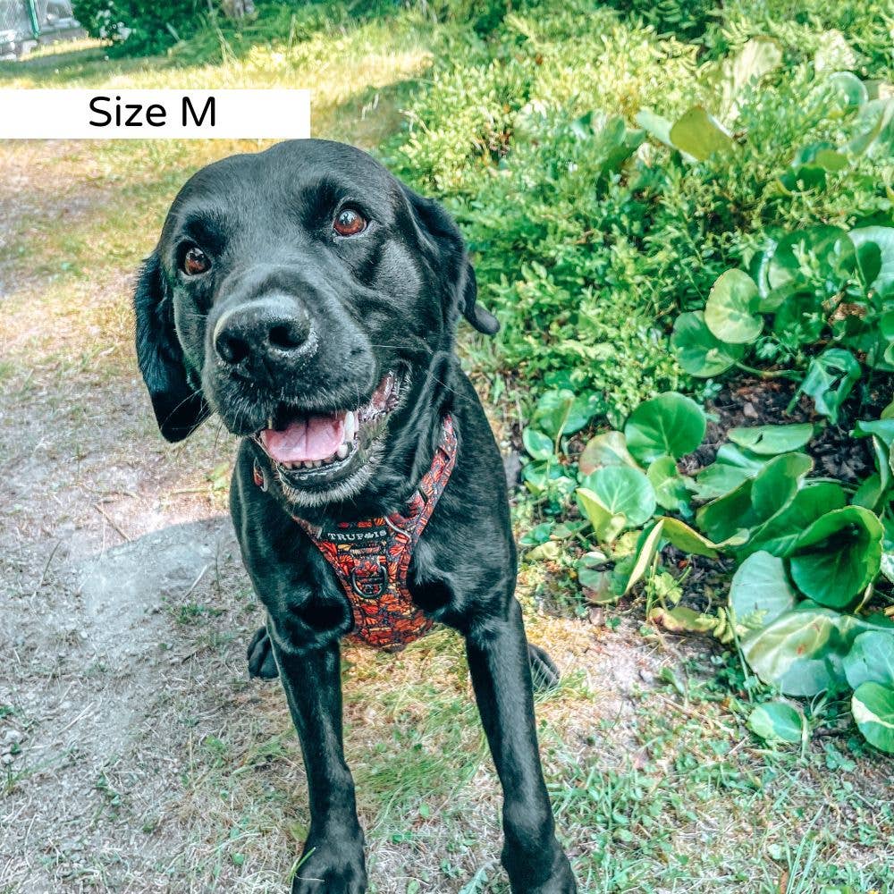 Trufois - Vente Harnais – chien - Harnais Sisu - Chute et Vol6