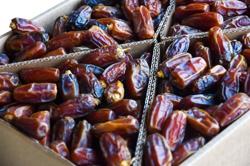 Aladdin - Wholesale Dried/Dehydrated Fruit - Hurma | Mashrook Dates Large2