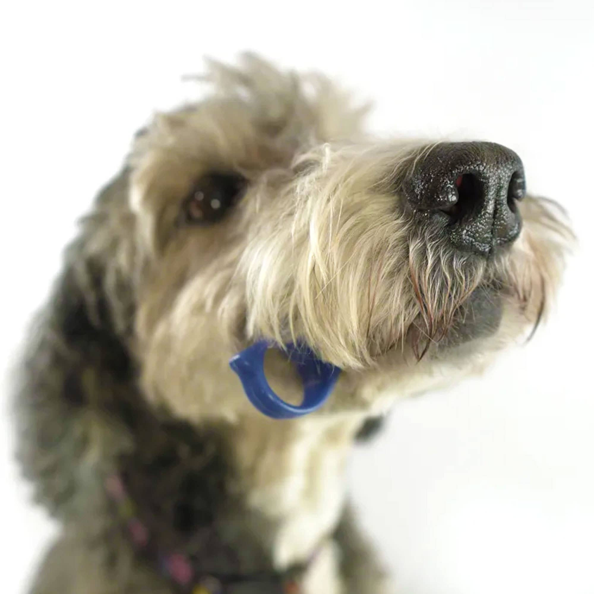 Keen Products Inc. - Vente Produit de toilettage – chien - L'aide à la brosse à dents PawReady BiteBlock permet d'accéder aux dents des animaux9