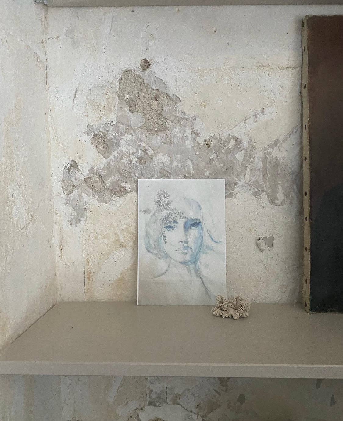 tinystories - Wholesale Postcard - Art Card "Fleurs Sauvage"1