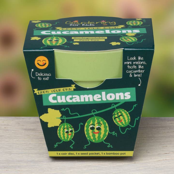 Children's Grow Your Own Cucamelons Growing Kit for wholesale by Gardening for Kids Ltd