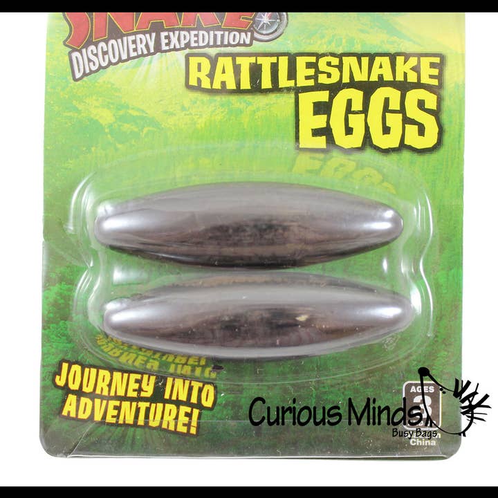 Curious Minds Toys - Wholesale Toy Set - Kids - Magnetic Rattlesnake Egg Buzz Noise-Making Toy - Singing5