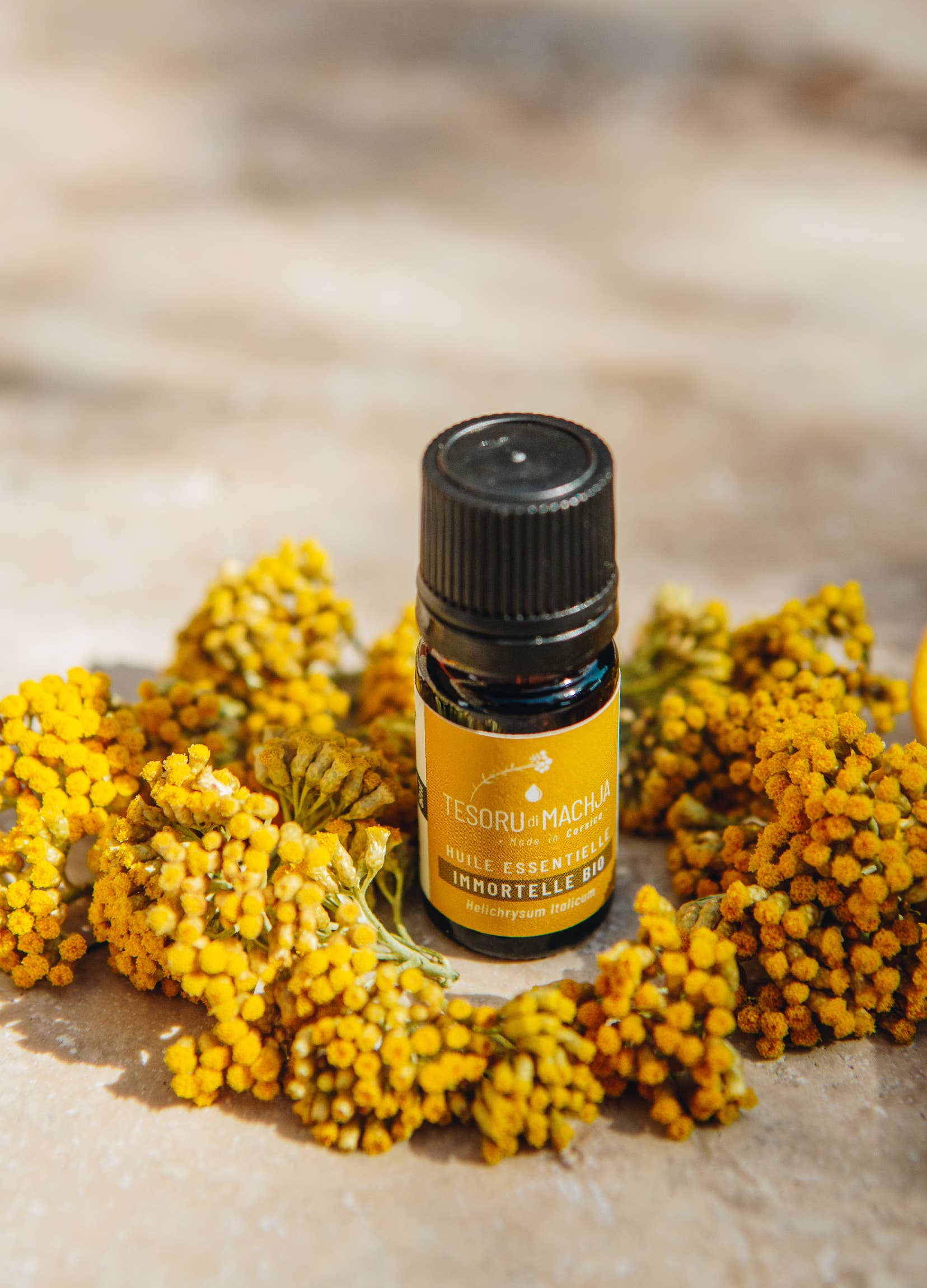 Tesoru di Machja – Engroshandel Æterisk olie – Corsicansk Imtelle æterisk olie 5 ml2