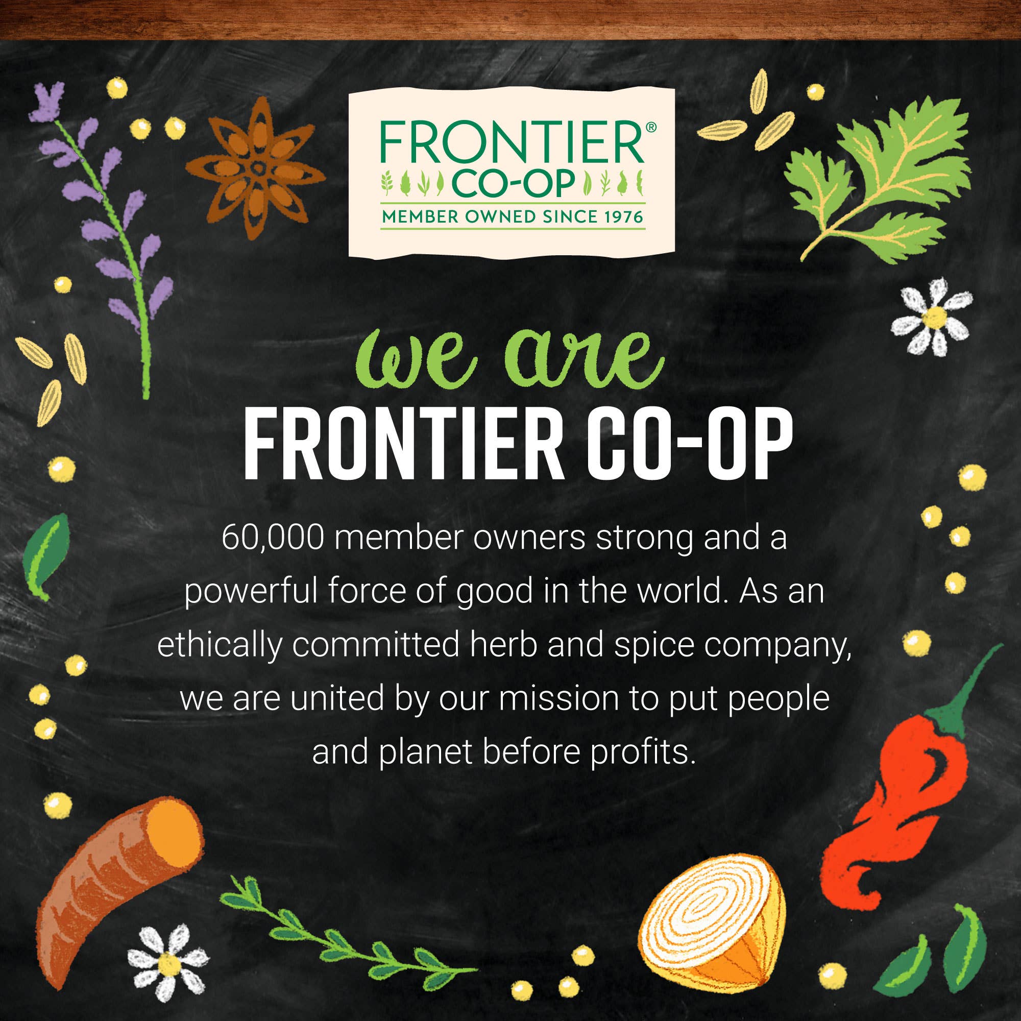 Frontier Co-op - Wholesale Dried Spice Mix - Organic Pumpkin Pie Spice - Cinnamon, Ginger, Cloves, Nutmeg12