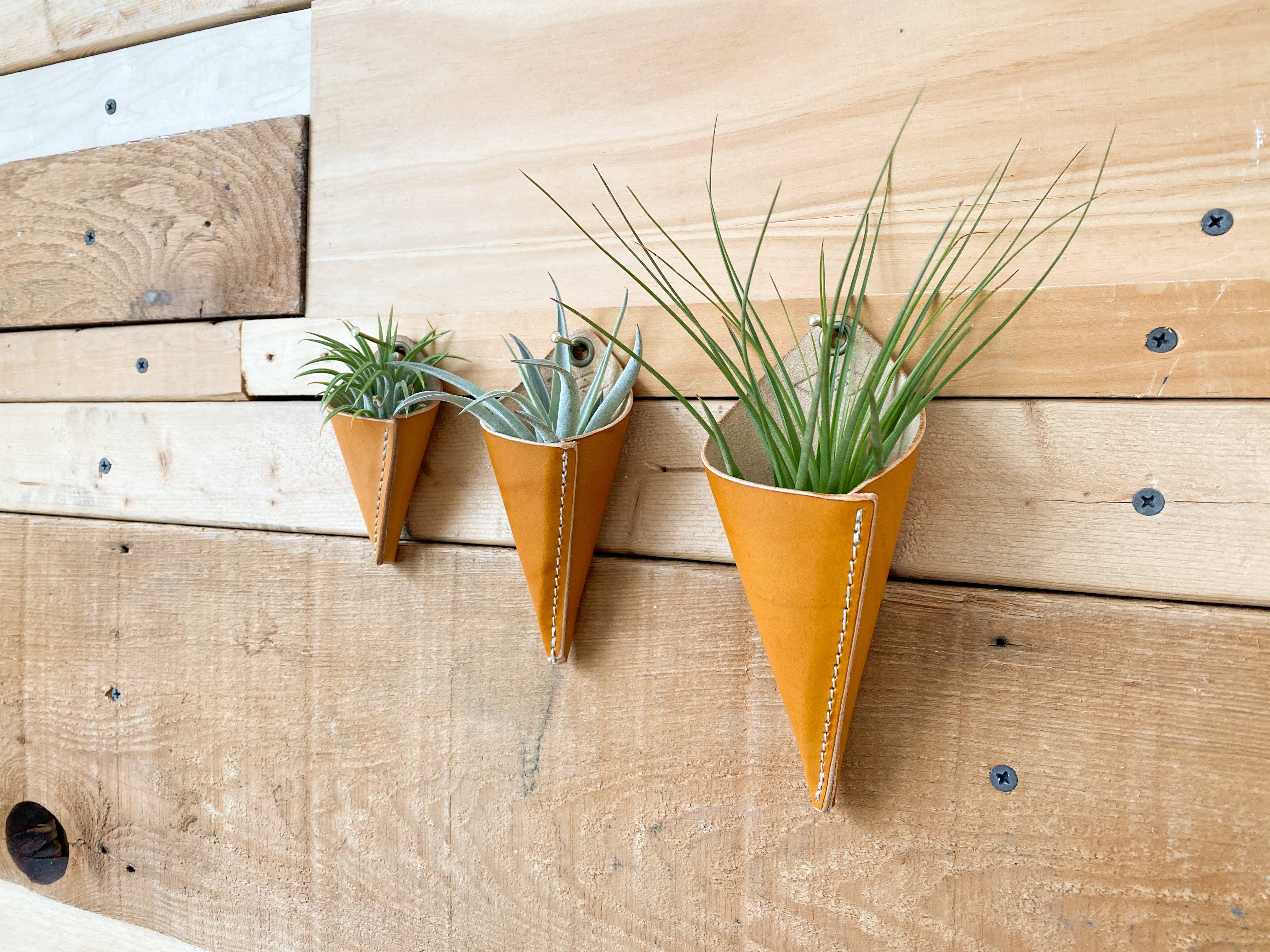 Gemini Handmade - Wholesale Hanging Planter - Air Plant Cone- Large3