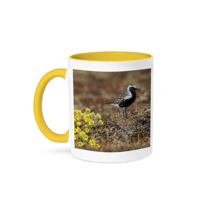 3dRose - Wholesale Coffee Mug - 3dRose, Black-bellied plover, Arctic tundra nesting habitat, Mug