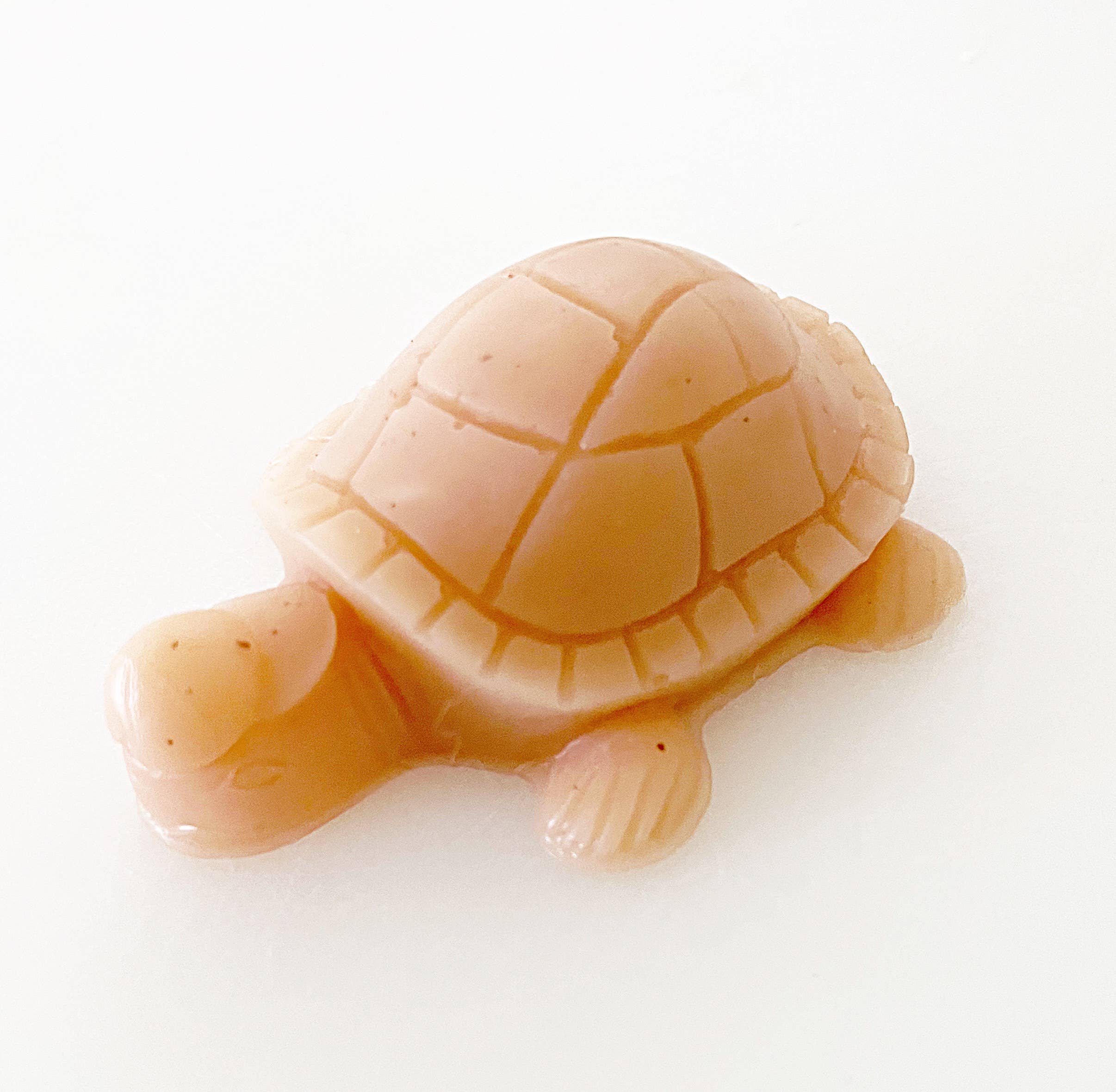 Paper Soap Co – sabonete sólido por atacado – Turtle - Sabonete - Embrulhado1