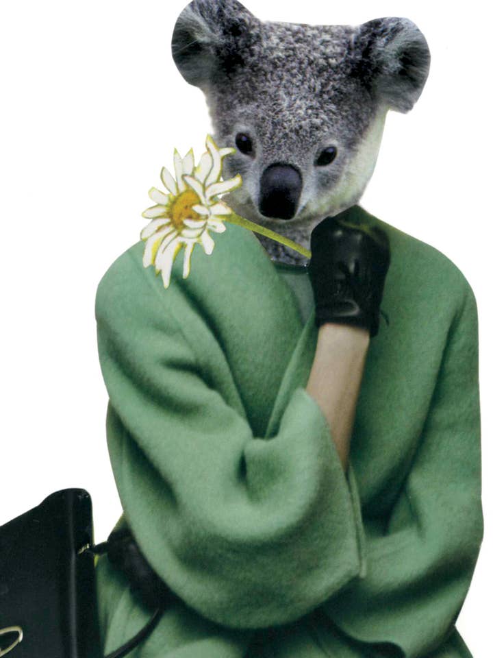 Birthday Koala for wholesale by Rare Bird