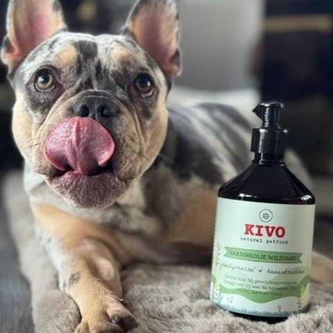 Kivo Petfood - Venta al por mayor Suplemento - Perros - Aceite de sardina: mejillón de labios verdes y cartílago de tiburón